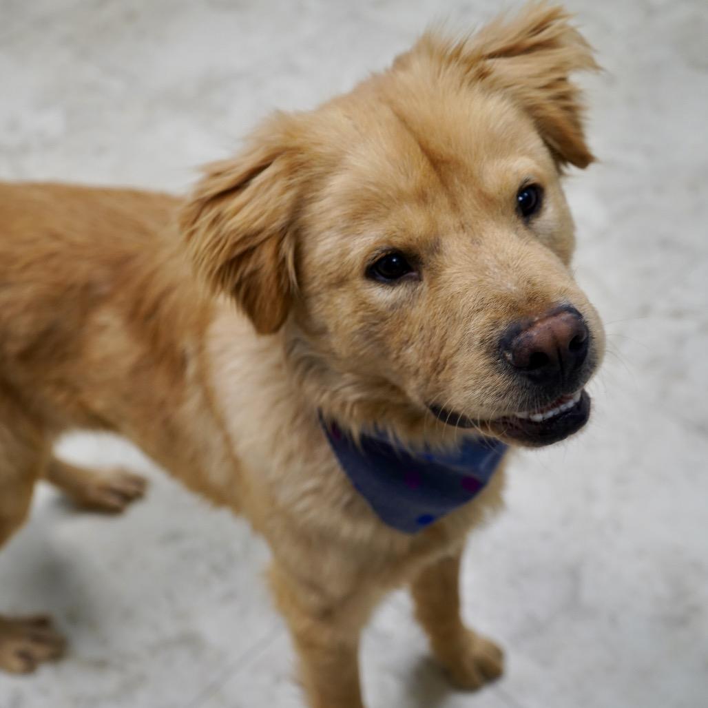 Benny — thumbnail 3