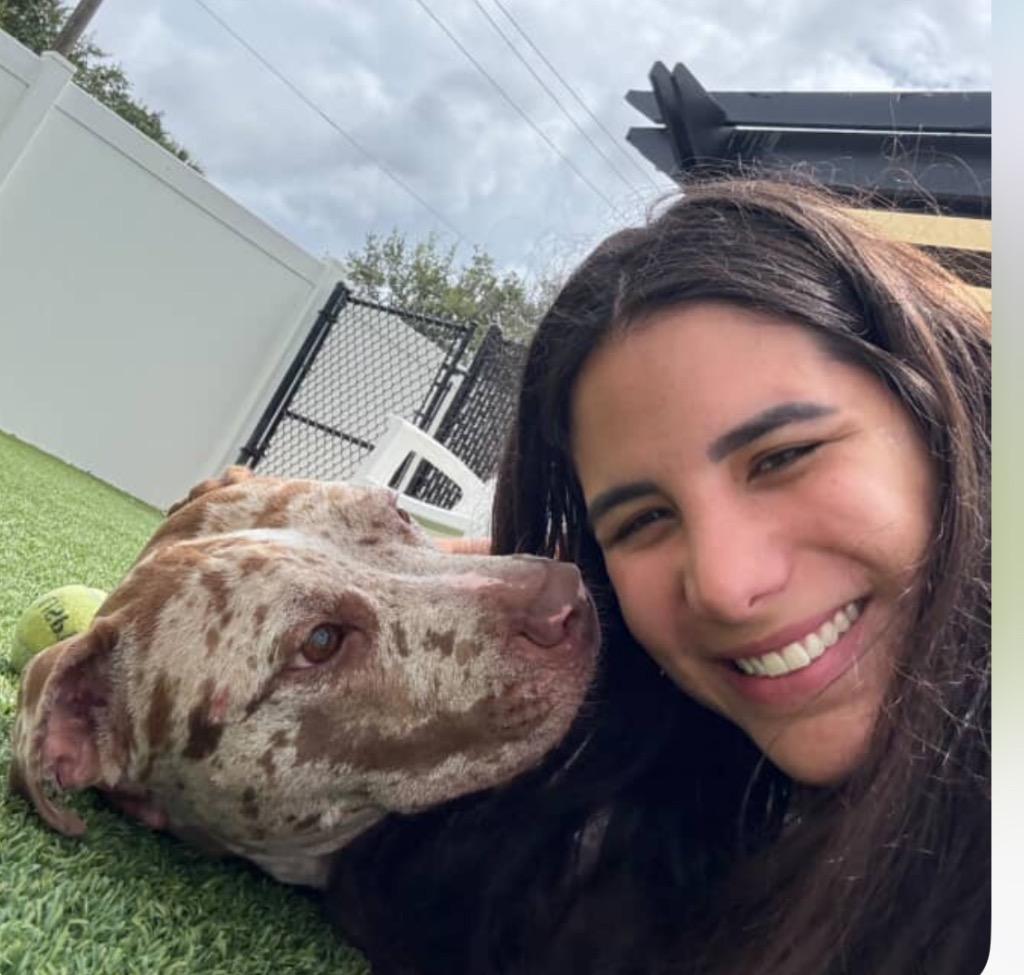 Rocky - Reduced Fee!, a Adoptable Catahoula Leopard Dog in Fort Myers, FL image 3/4