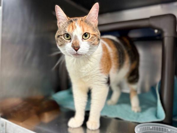 Brooke Lynn — thumbnail 2