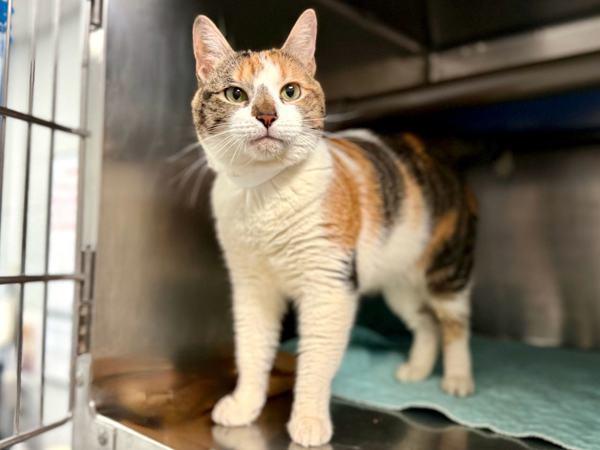 Brooke Lynn — thumbnail 3