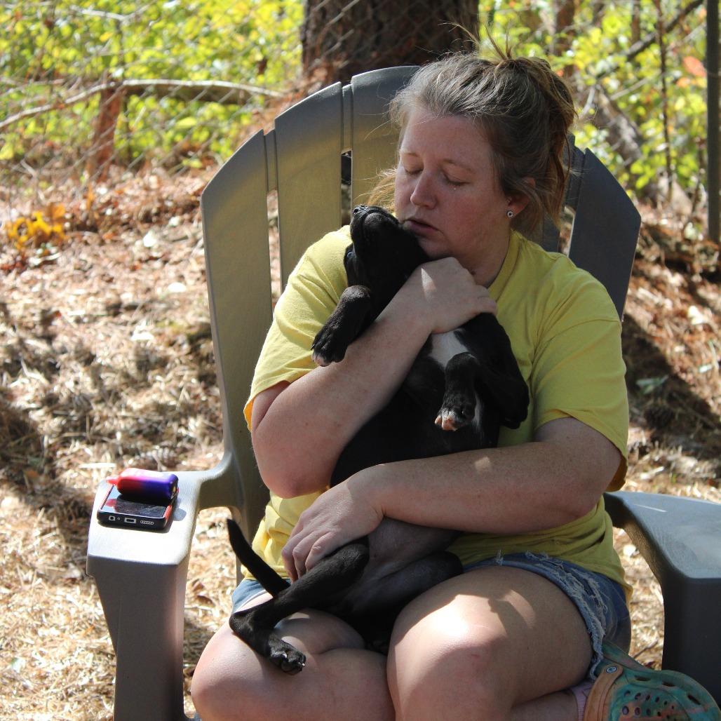Gwen, a Adoptable Mixed Breed in Valley, AL image 6/6