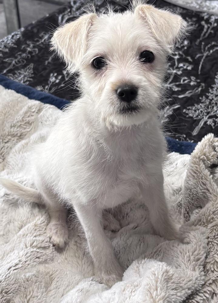 Linda Bob's Burgers — thumbnail 3