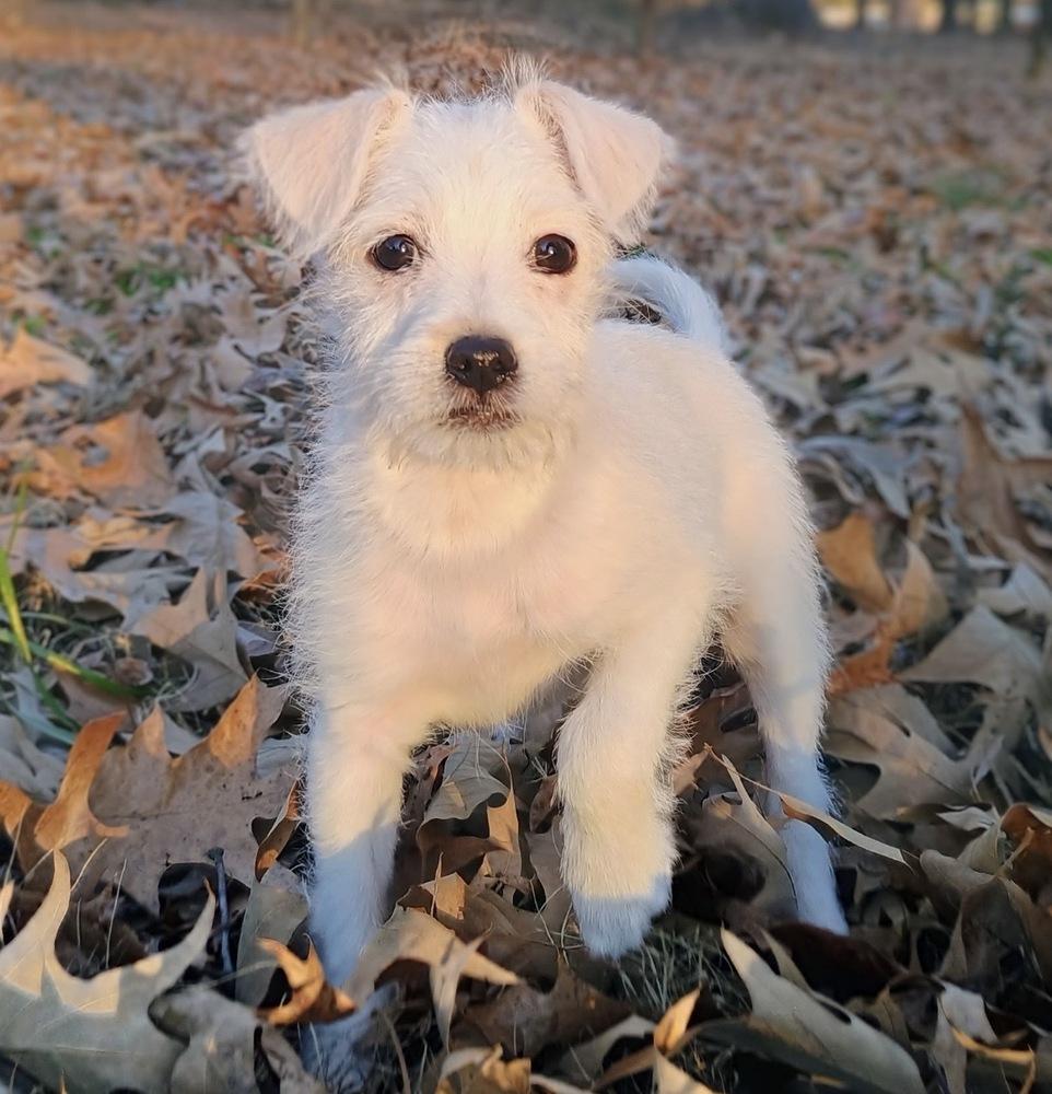 Linda Bob's Burgers — thumbnail 5