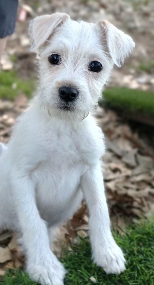 Linda Bob's Burgers — thumbnail 6