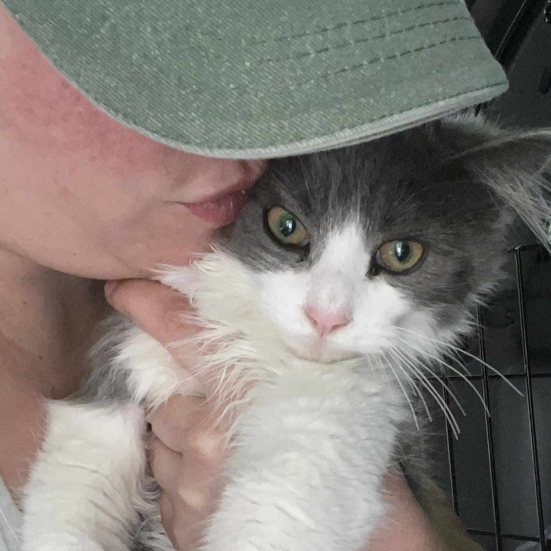 Milkshake — thumbnail 4