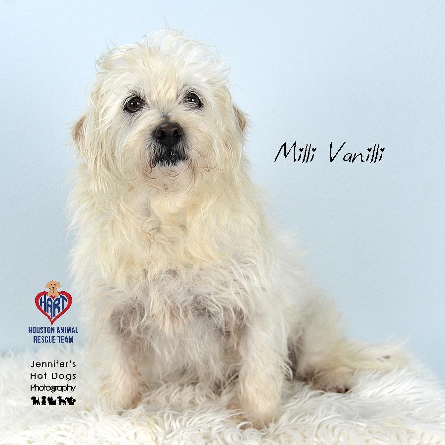 Milli Vanilli — thumbnail 2