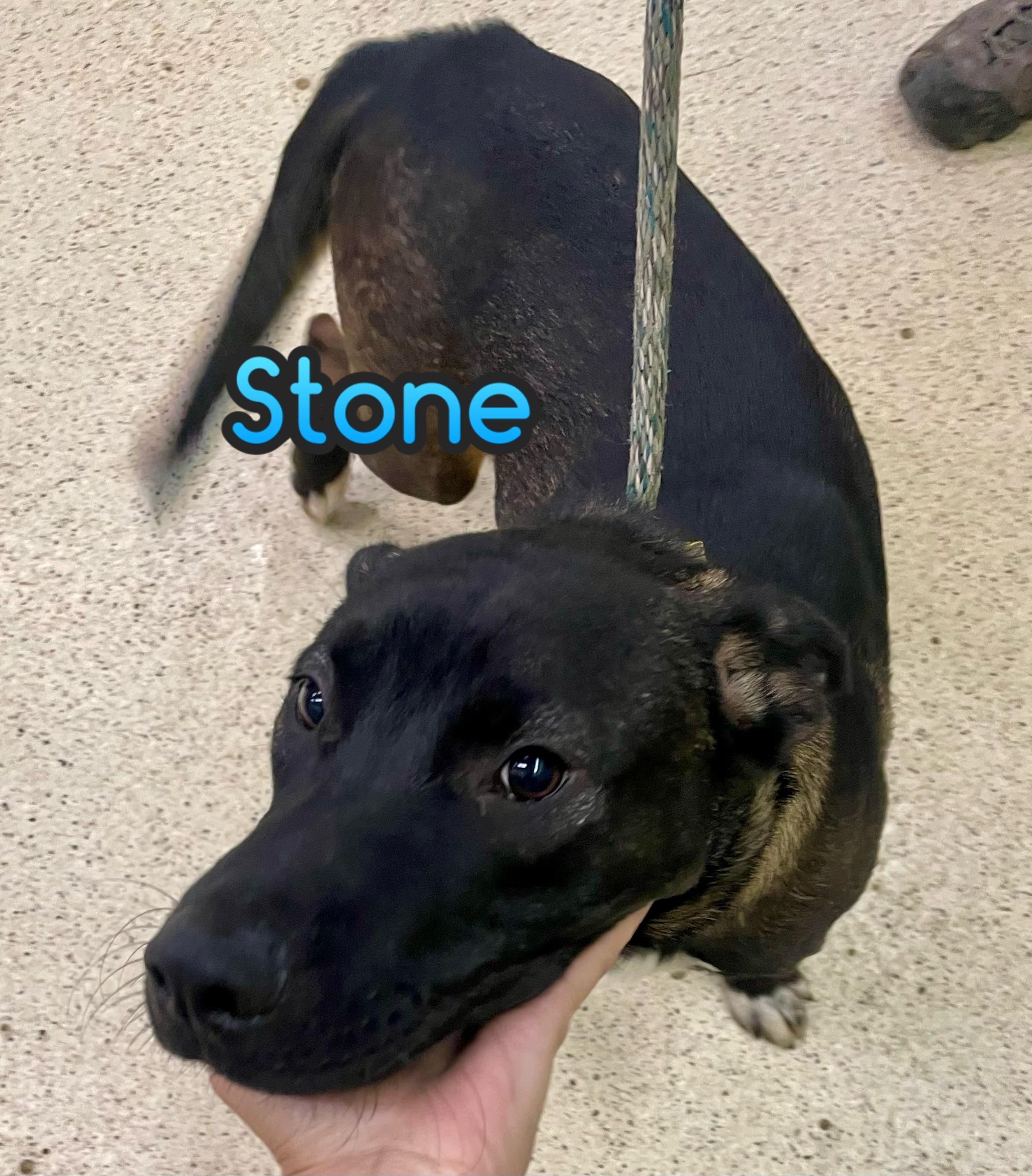 Stone