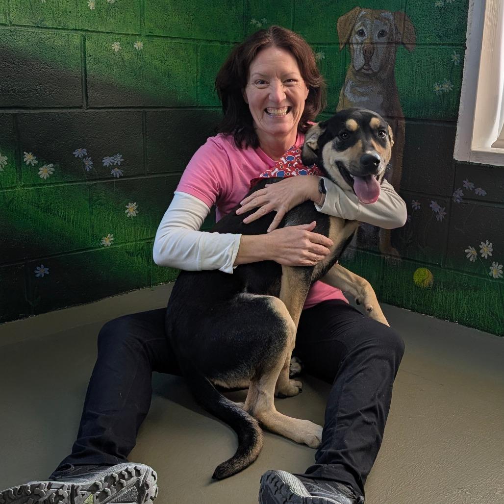 CoraLee, a Adoptable Mixed Breed in Walnut Cove, NC image 3/4