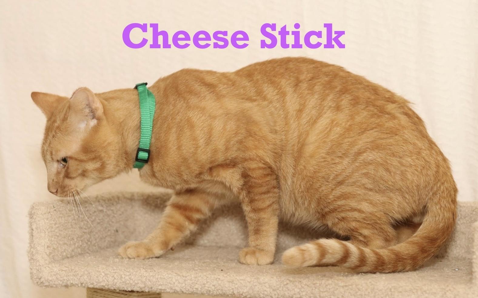 Cheese Stick