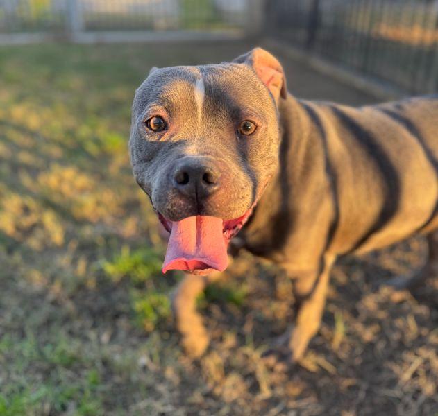 RIGBY — thumbnail 2