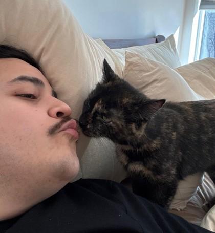 Enlarge Tortie, an adopted mixed breed in New York, NY image 3/4