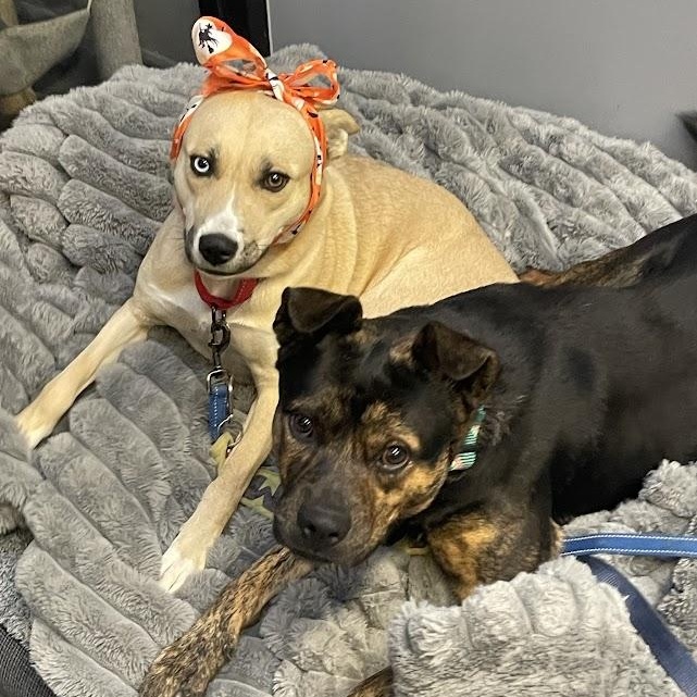 Sabrina Cm thumbnail 2