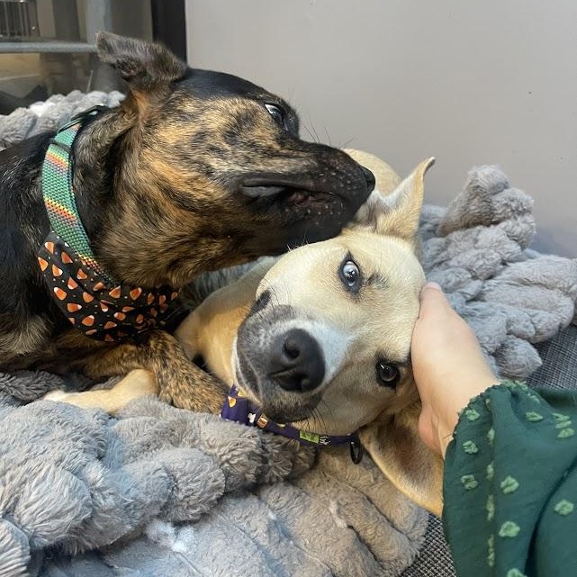 Sabrina Cm thumbnail 4