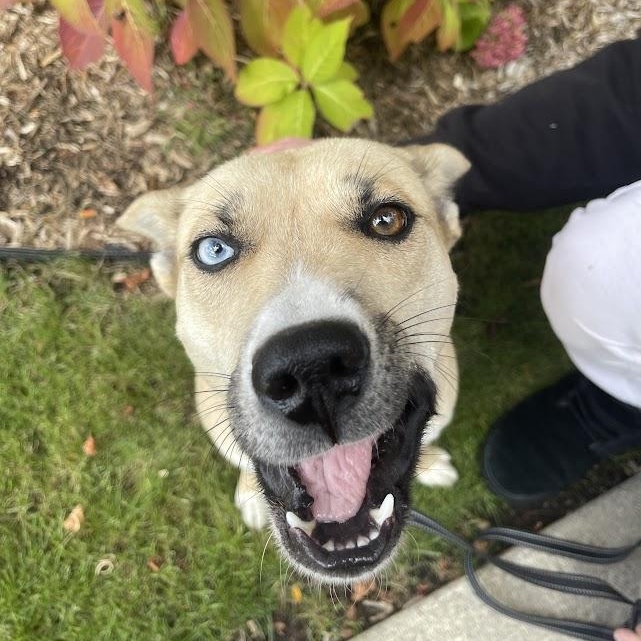 Sabrina Cm thumbnail 5