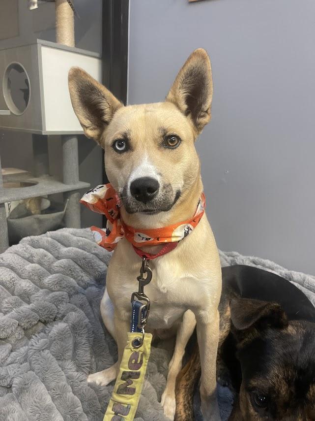 Sabrina Cm thumbnail 6