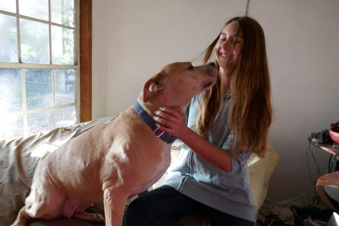 Amelia ~  Affectionate!  Gentle! FETCH! Swimmer!