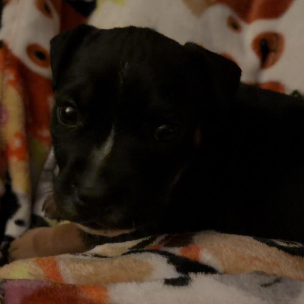 Lilo — thumbnail 5