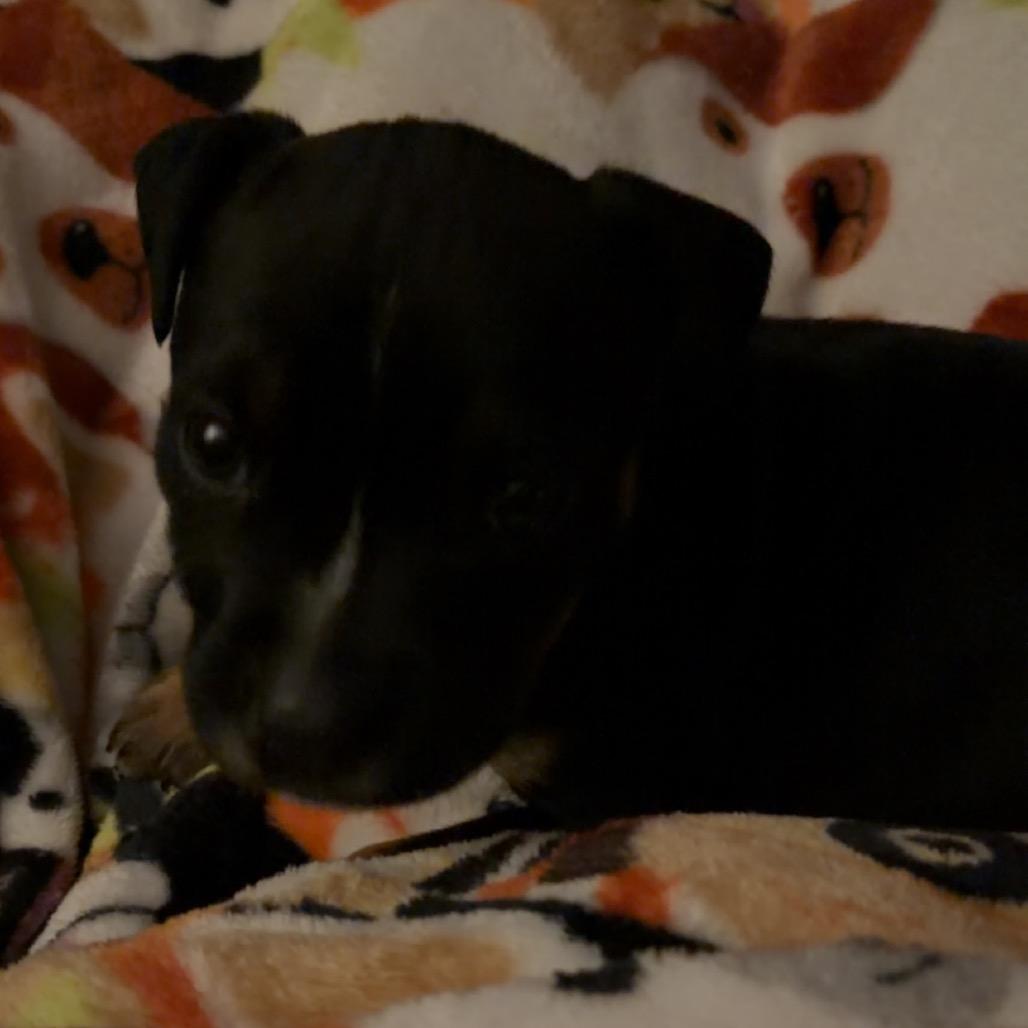 Lilo — thumbnail 6