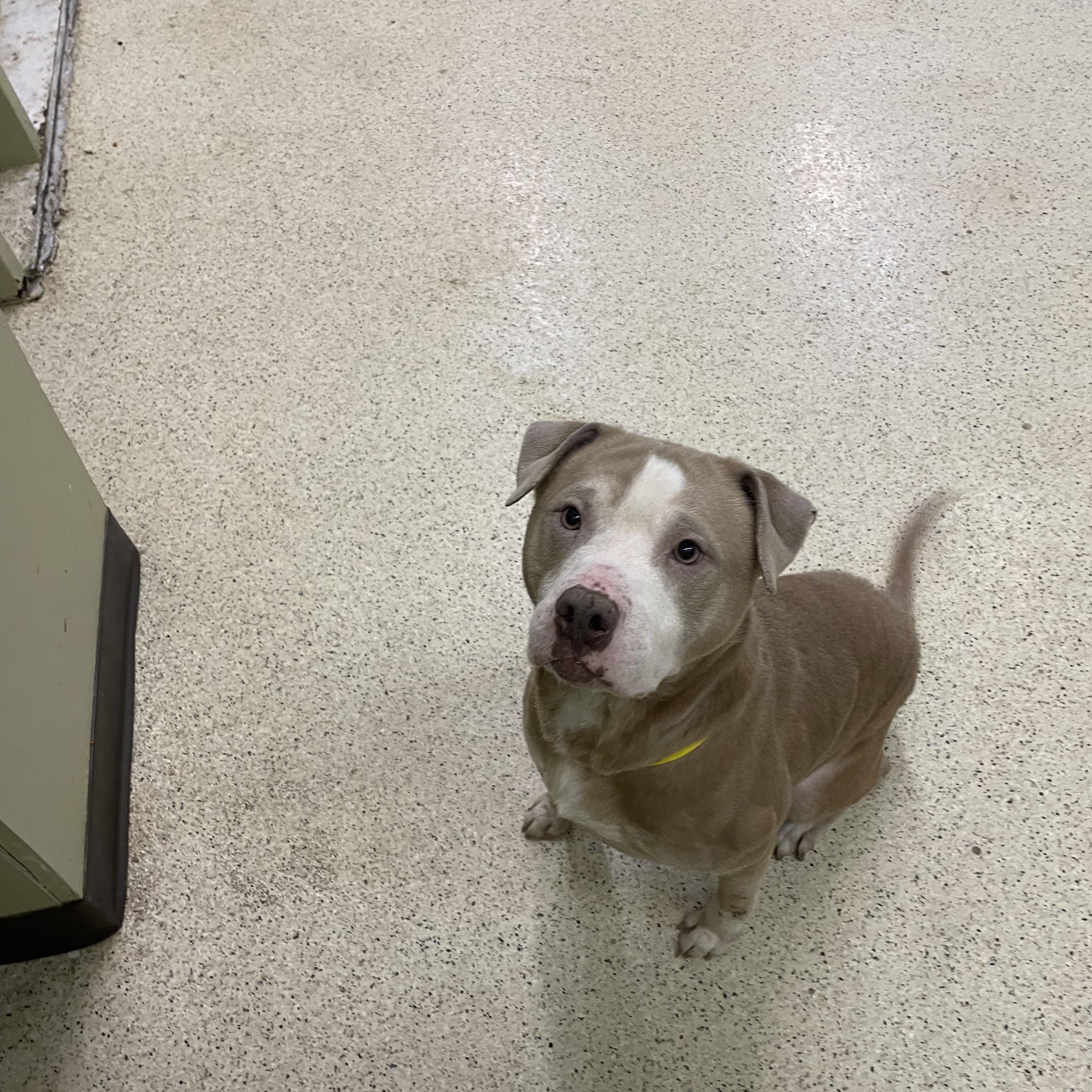 Jupiter — thumbnail 3