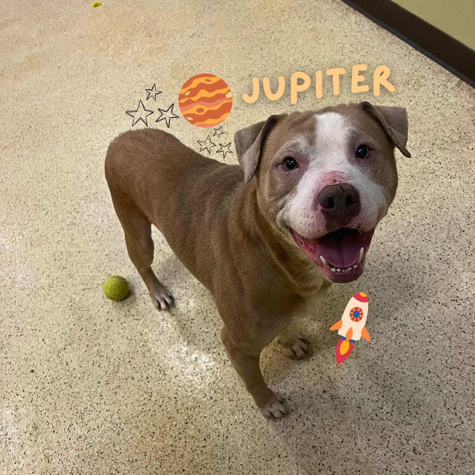 Jupiter — thumbnail 4