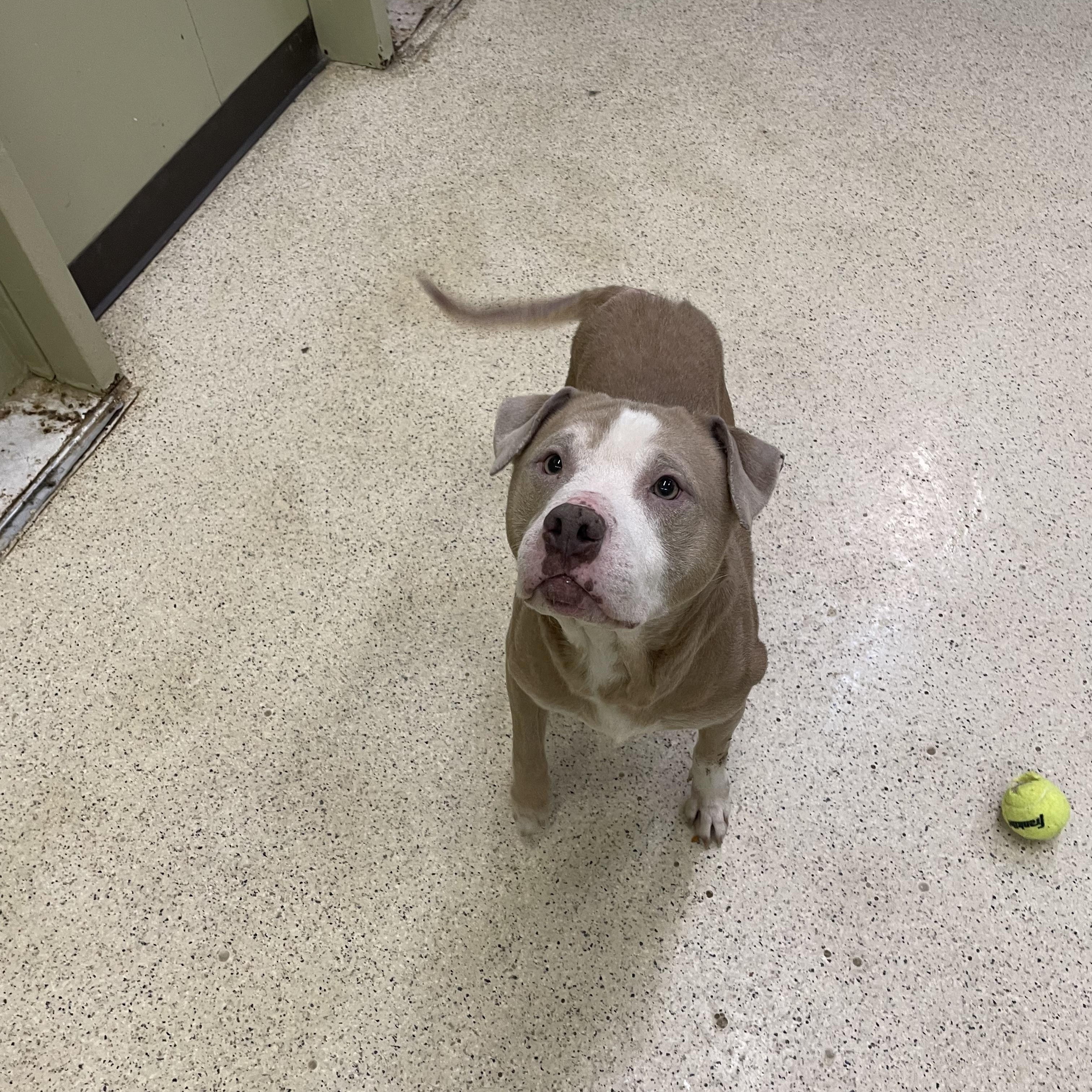 Jupiter — thumbnail 5