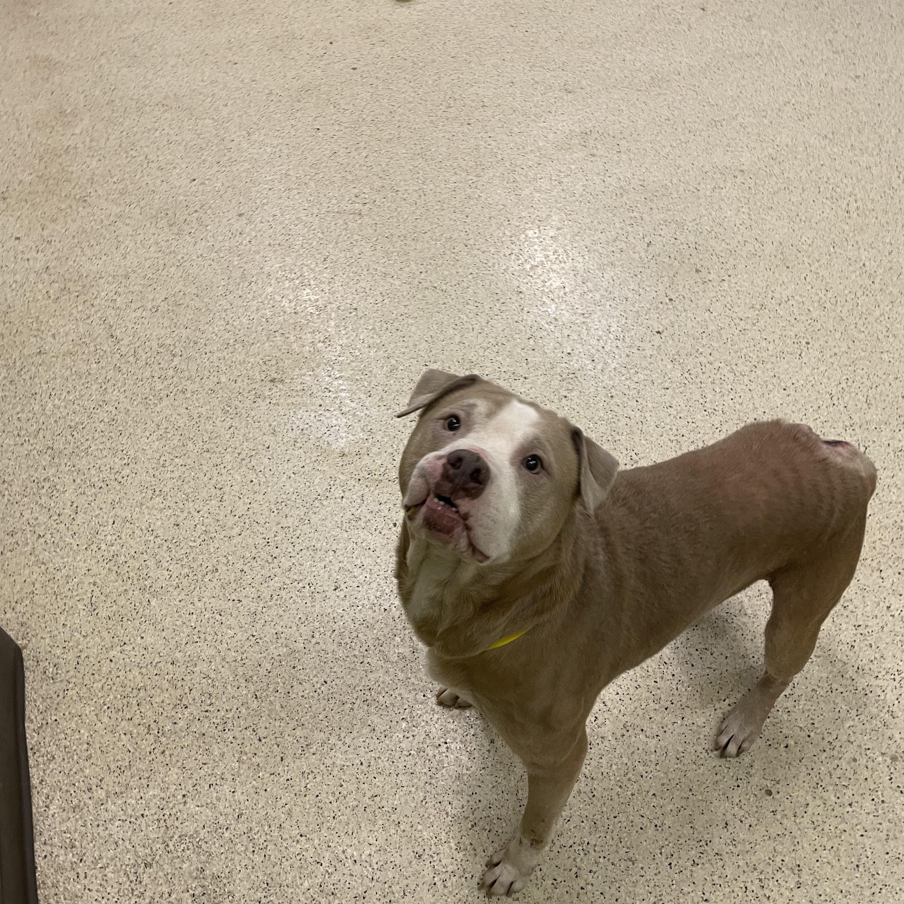 Jupiter — thumbnail 6