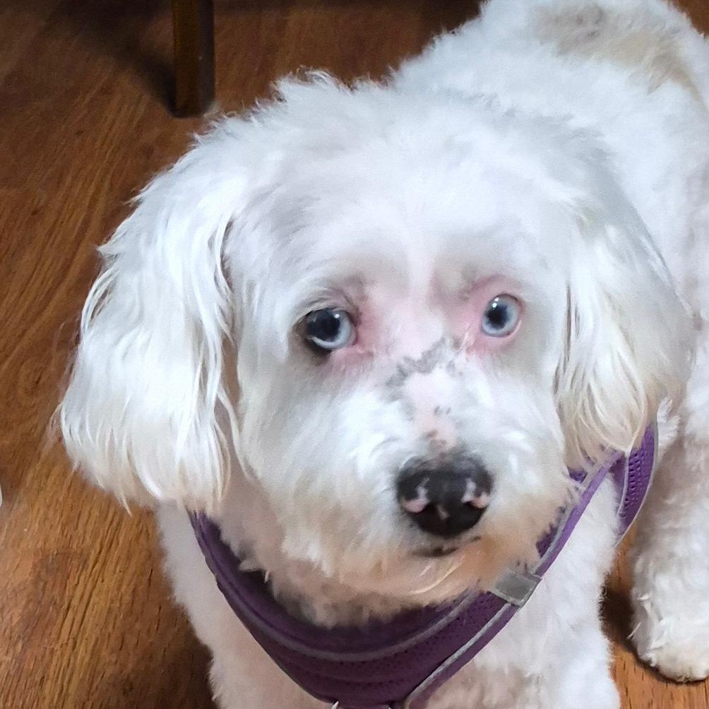 Penny Sue — thumbnail 4