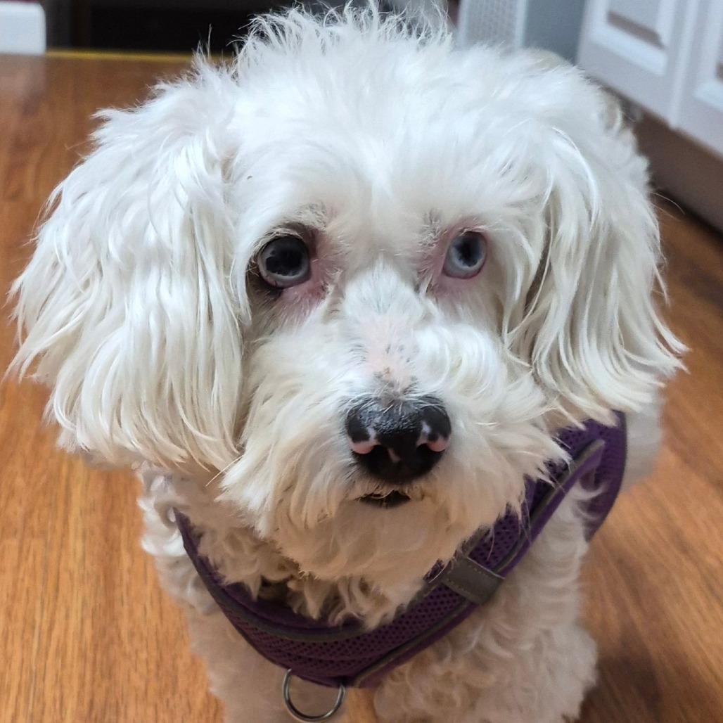 Penny Sue — thumbnail 5