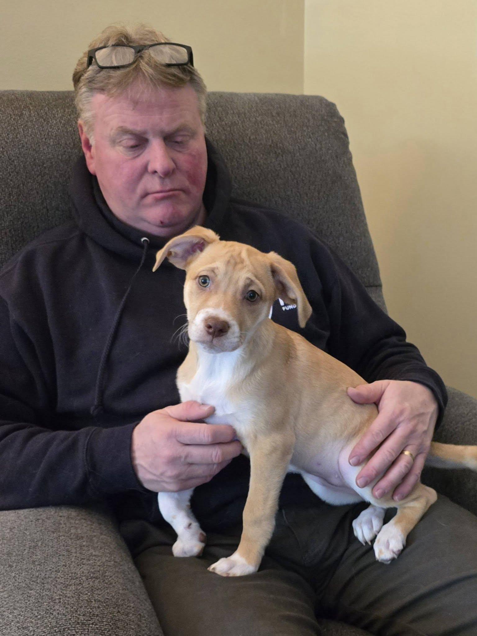 Cotton Candy thumbnail 2