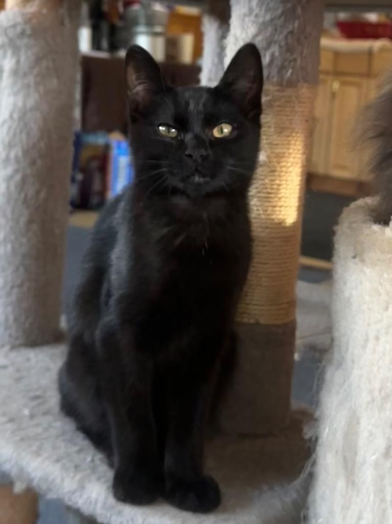 Galena — thumbnail 2