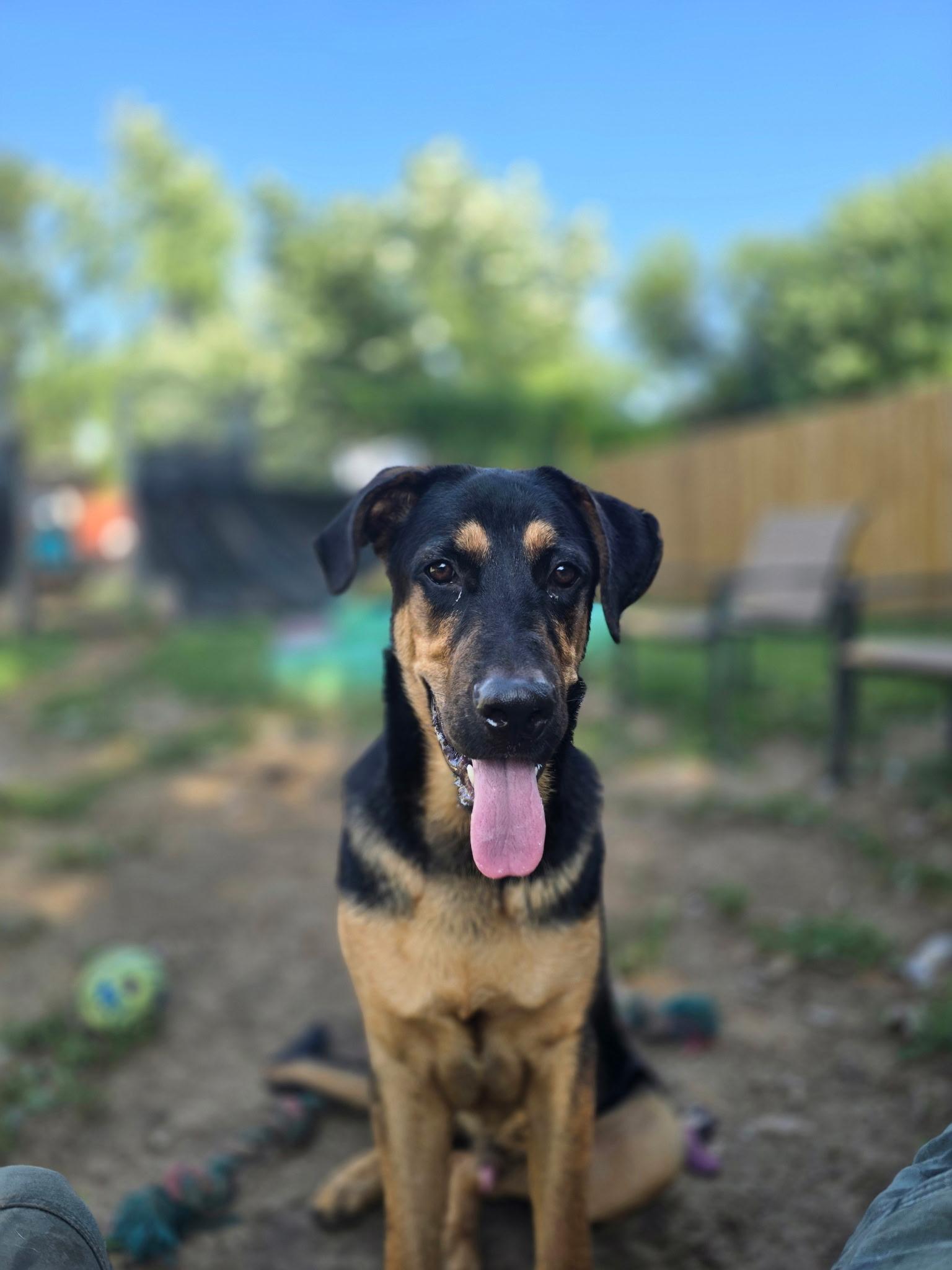 Clifford