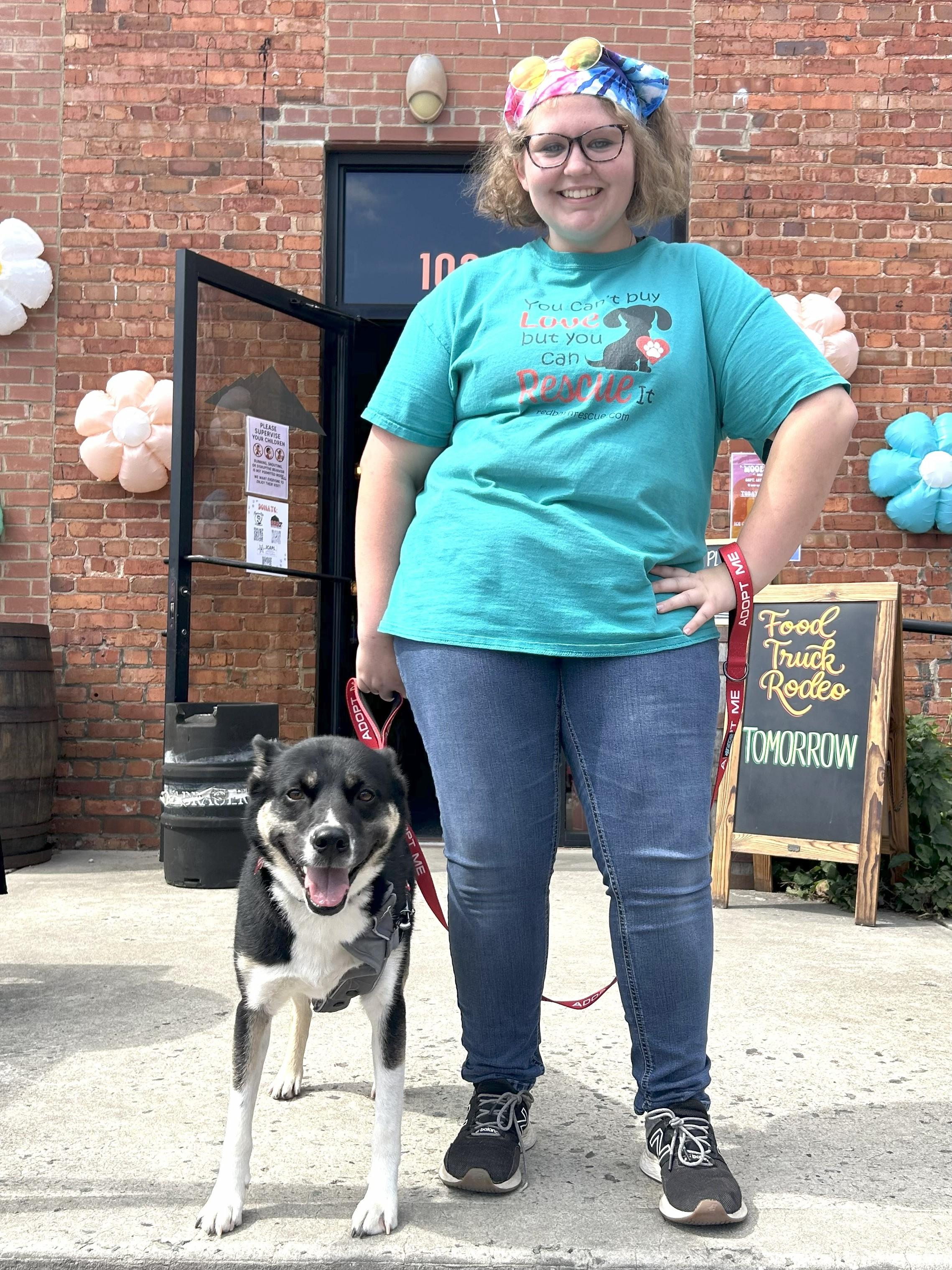 Angie, an adoptable Siberian Husky, Shepherd in Clayton, NC, 27520 | Photo Image 2