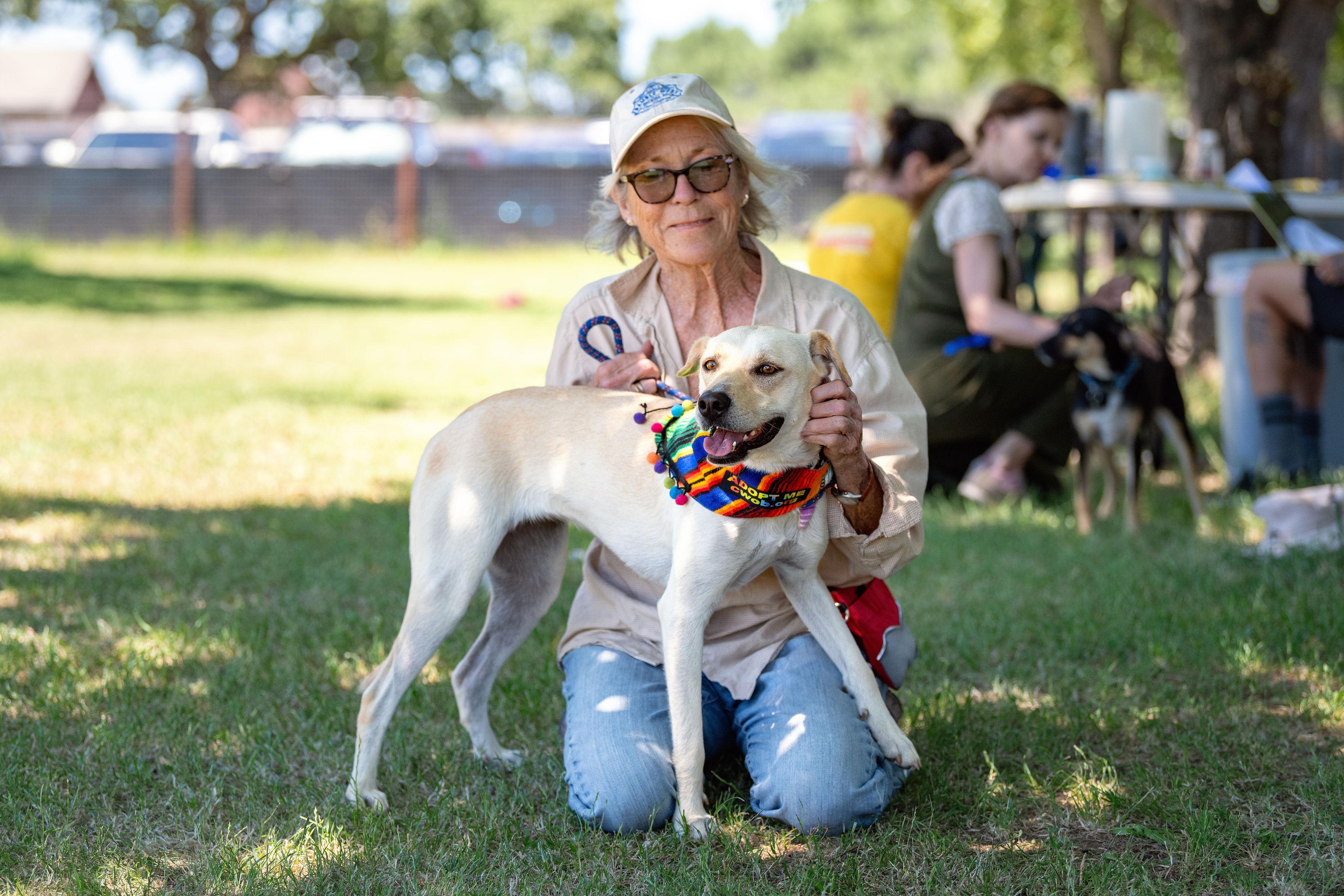 Zara, a ADOPTABLE mixed breed in Santa Rosa, CA image 5/6