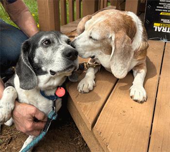 Barnaby & Penelope
