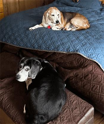 Barnaby & Penelope 4