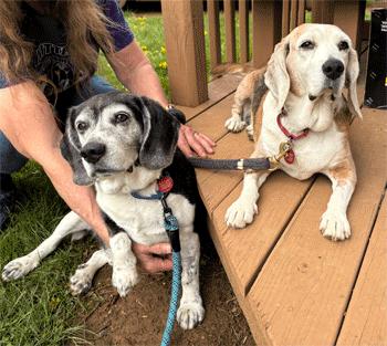 Barnaby & Penelope