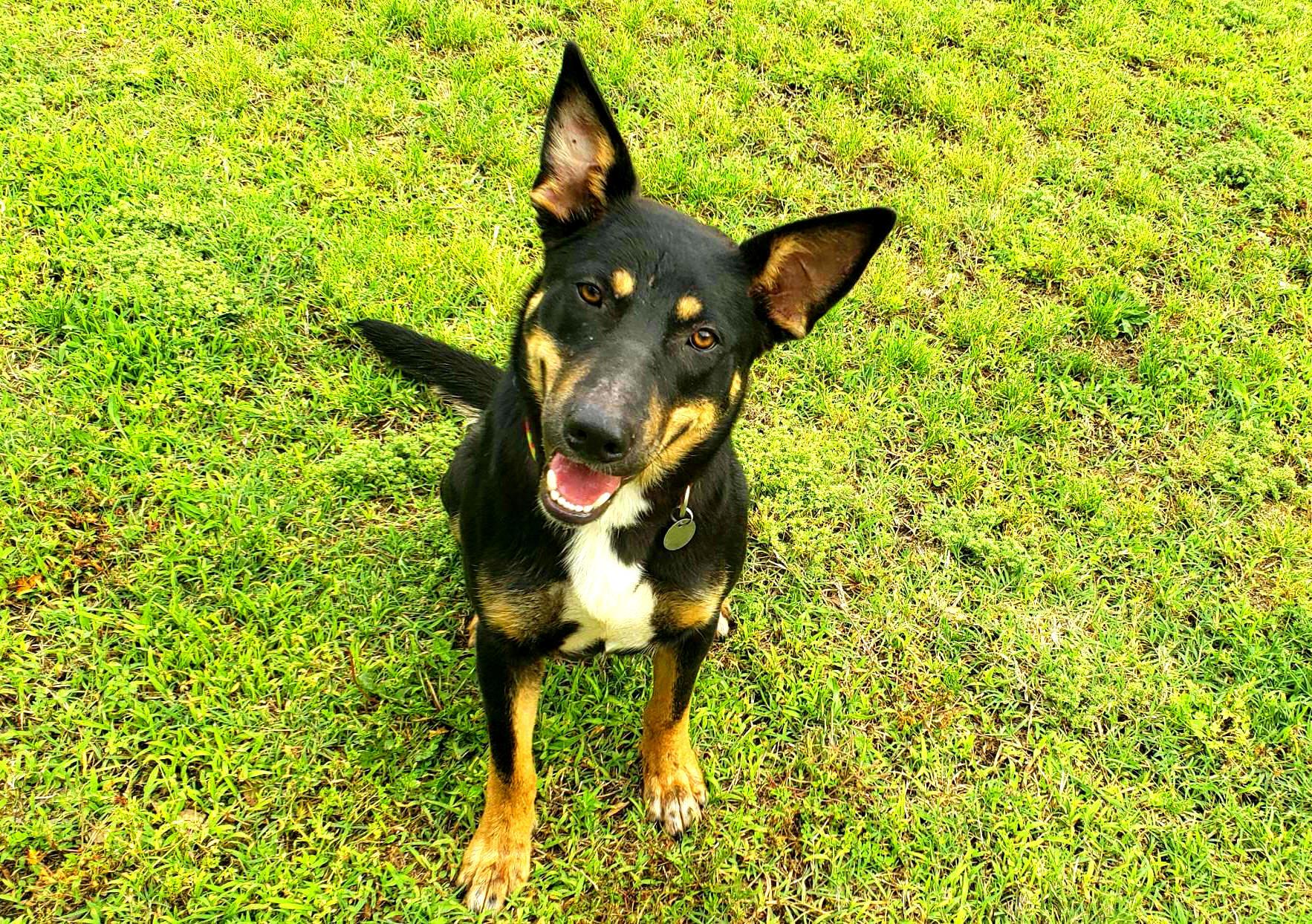 Macey photo 2