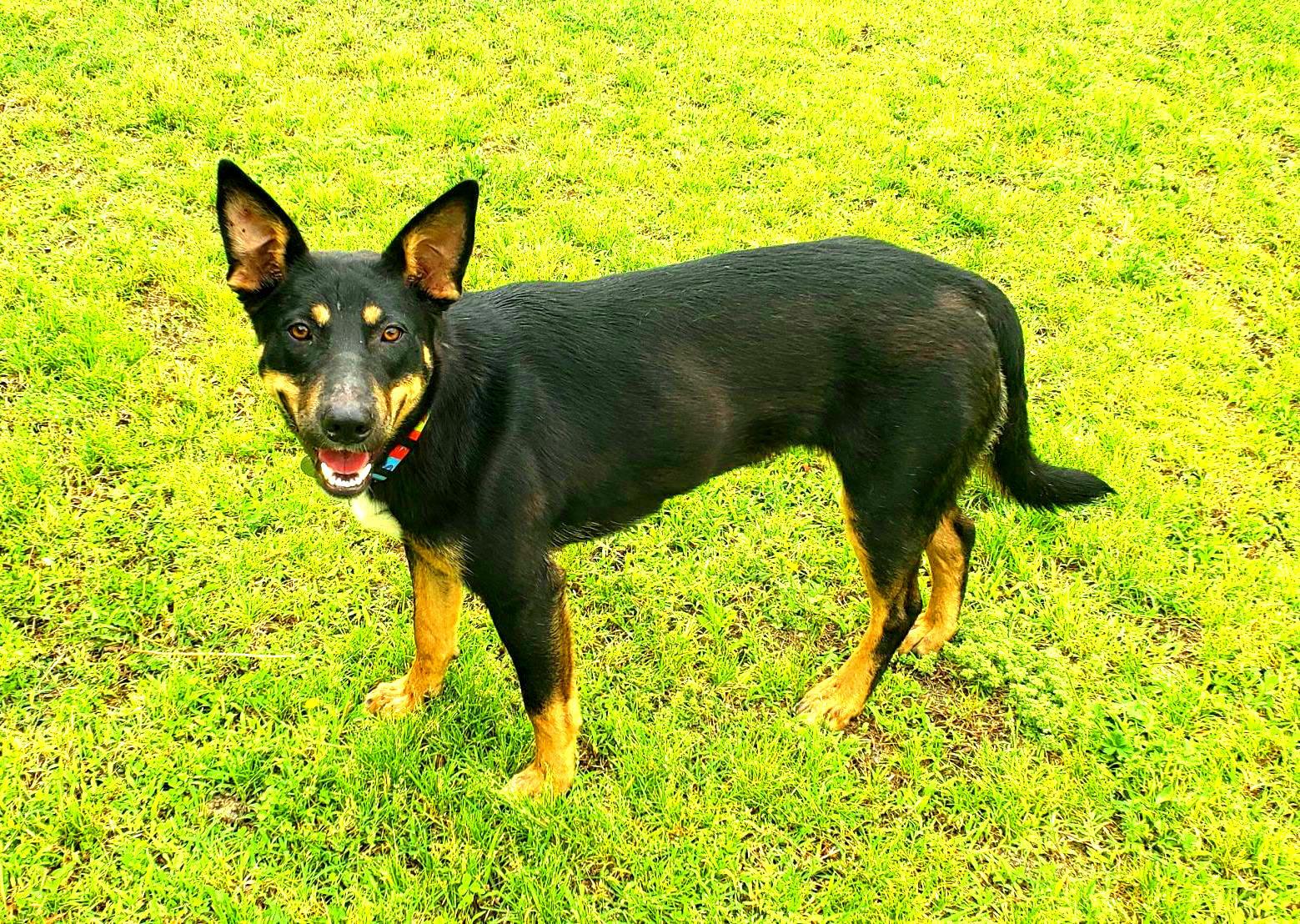 Macey photo 3