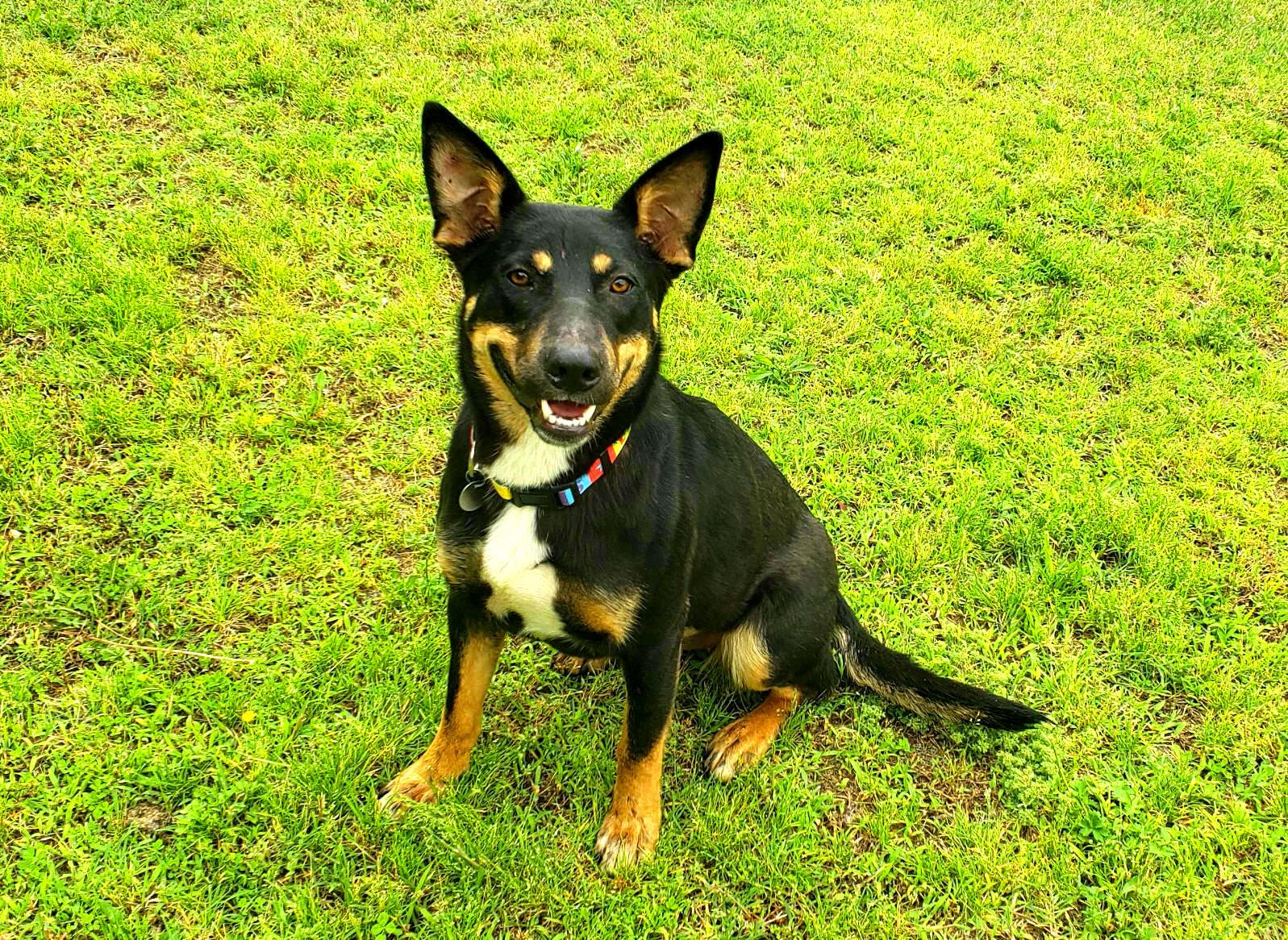Macey photo 4