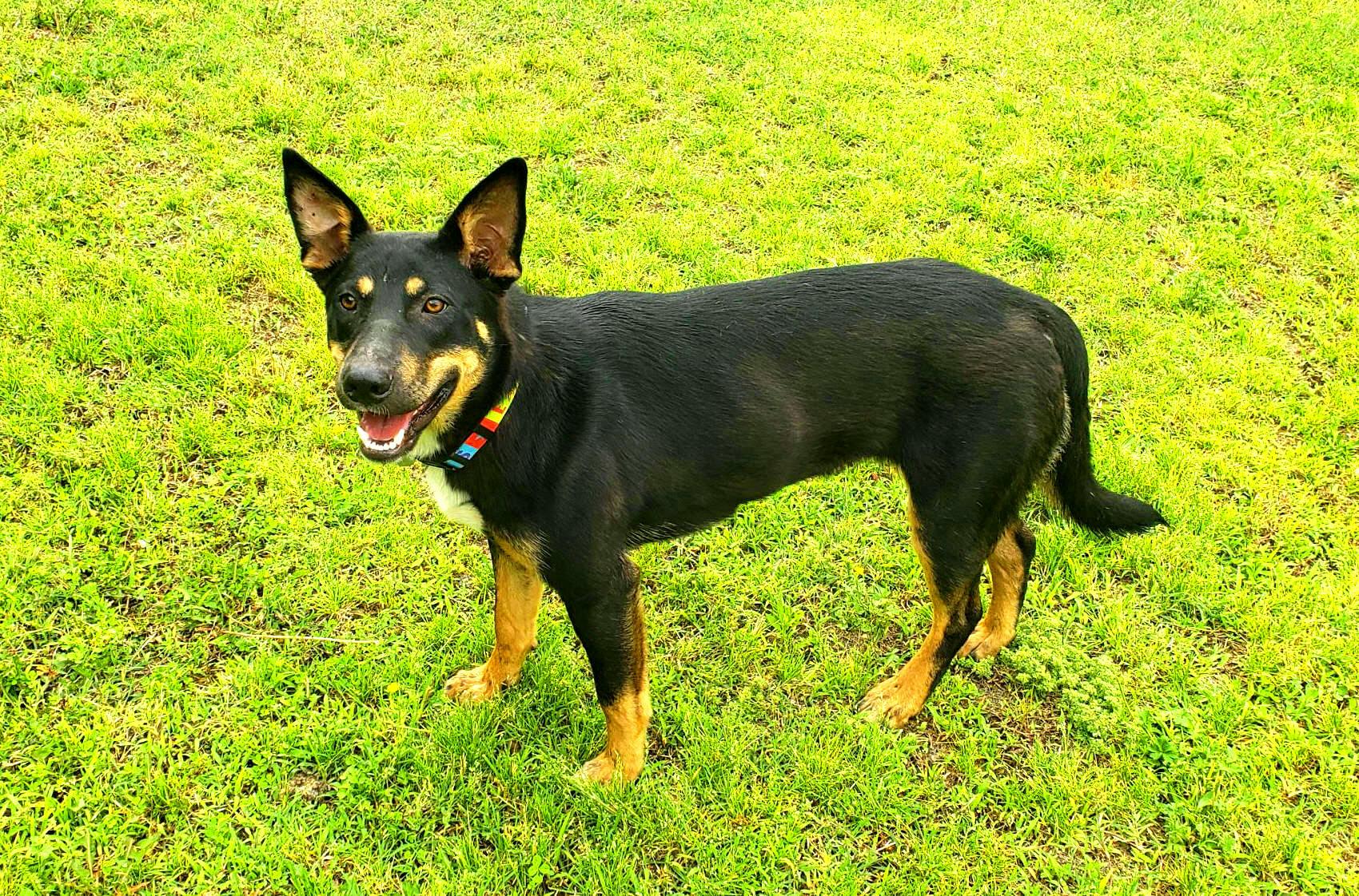Macey photo 5