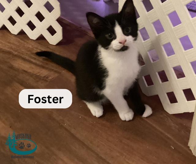 Foster!