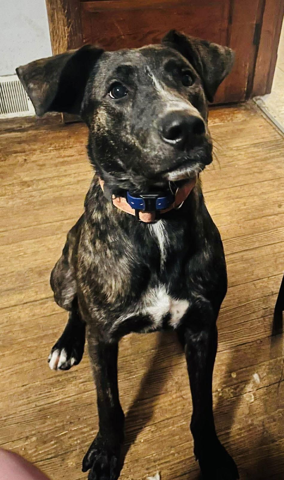 Sam I Am — thumbnail 3