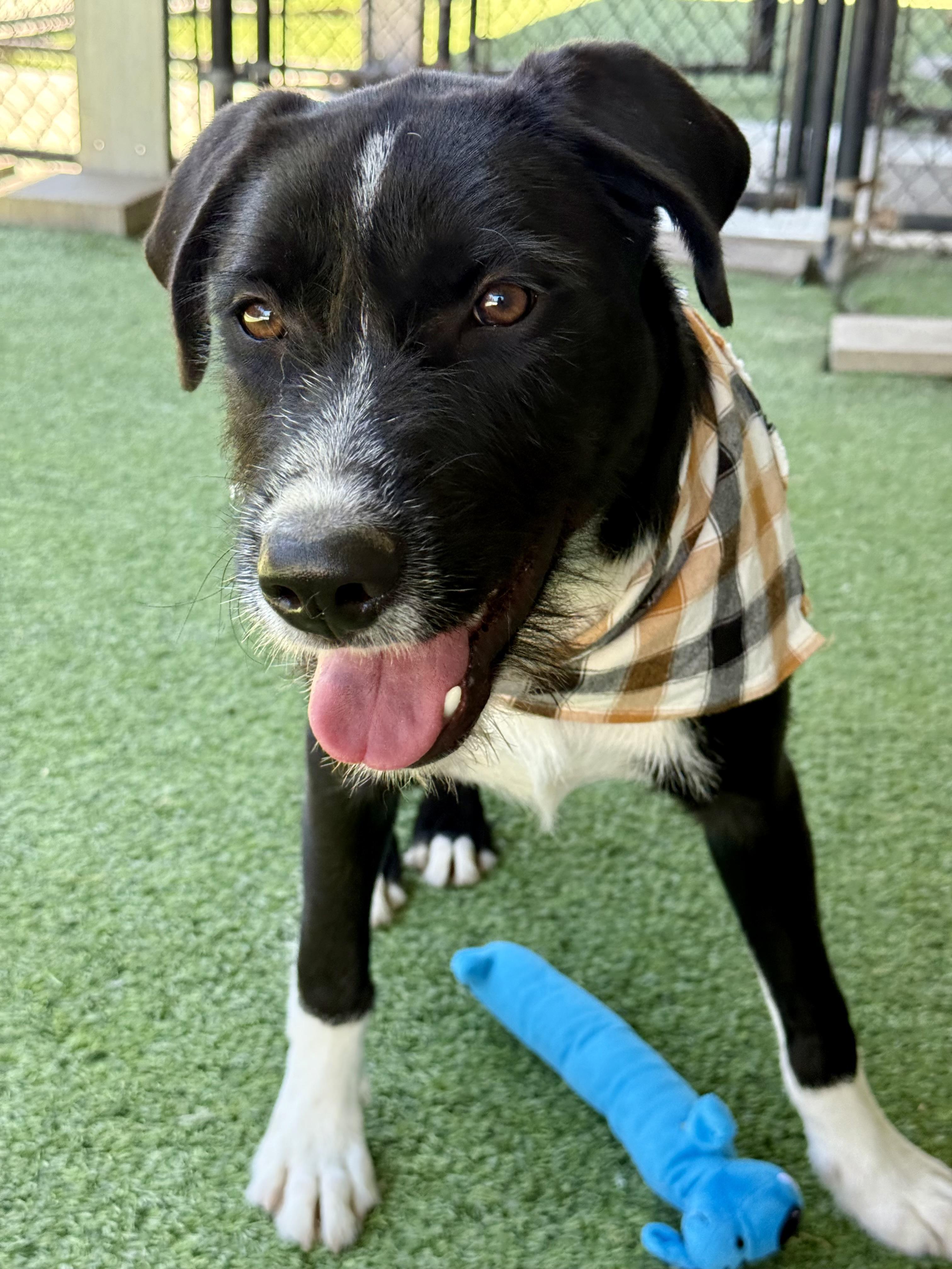 Atlas — thumbnail 4