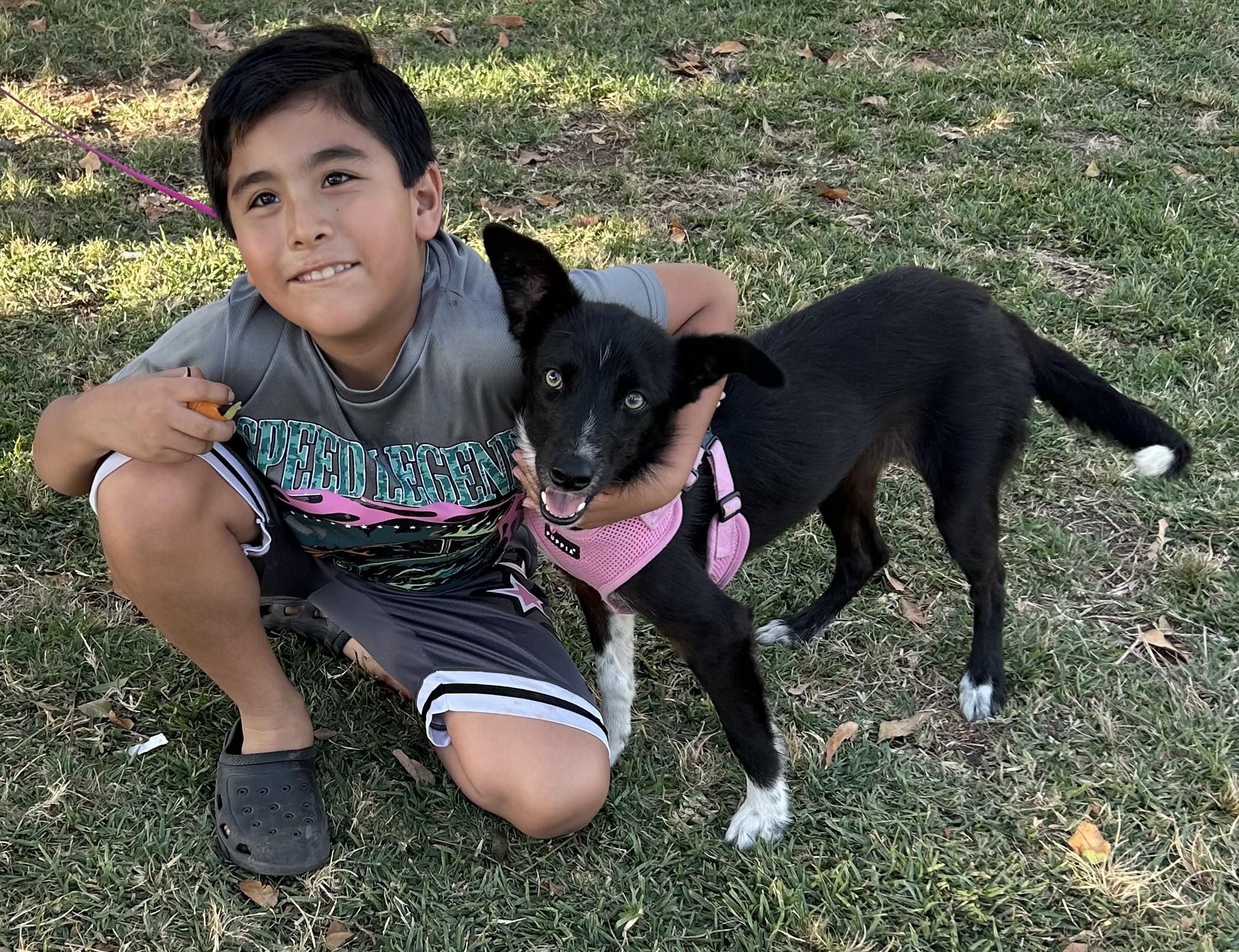 Enlarge ARYA, a ADOPTABLE mixed breed in Bell Gardens, CA image 6/6
