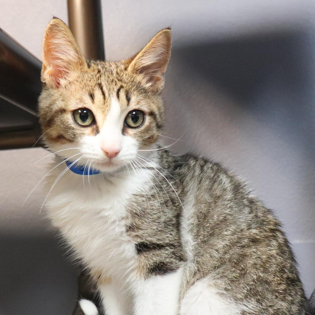 Timothy — thumbnail 2