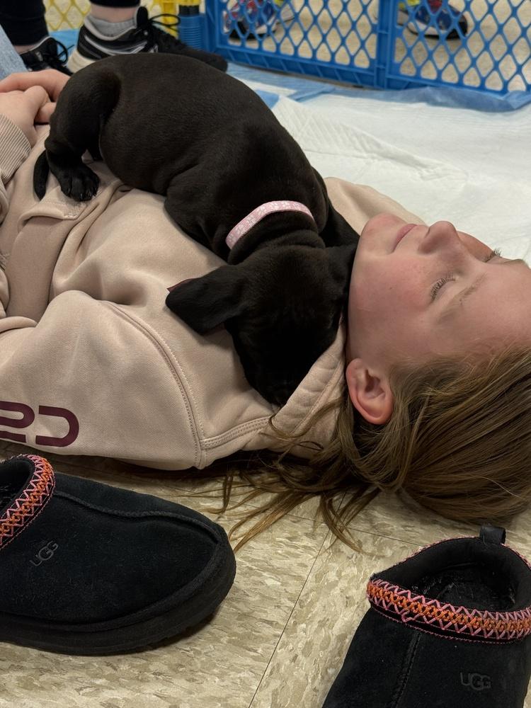 Morganne thumbnail 2