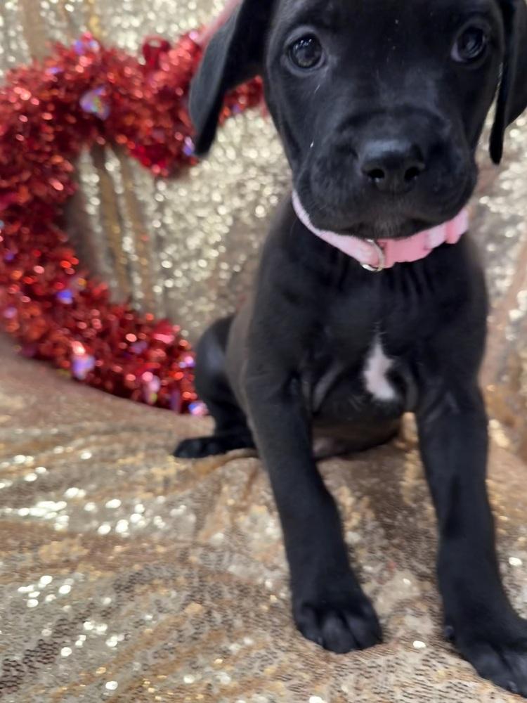 Morganne thumbnail 3