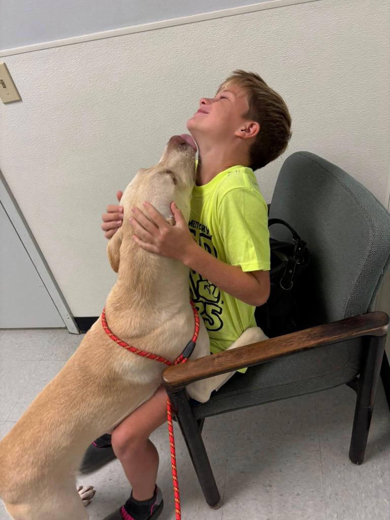 Enlarge Colby, a Adoptable mixed breed in Spring, TX image 3/6