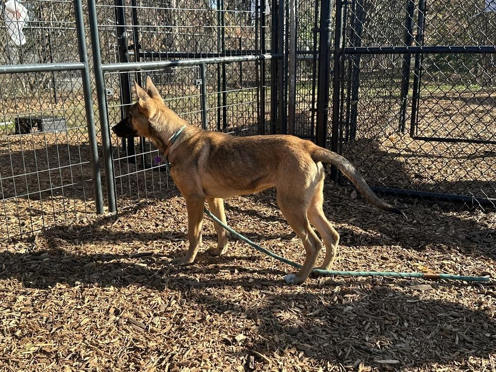 Paisley  Located In thumbnail 2