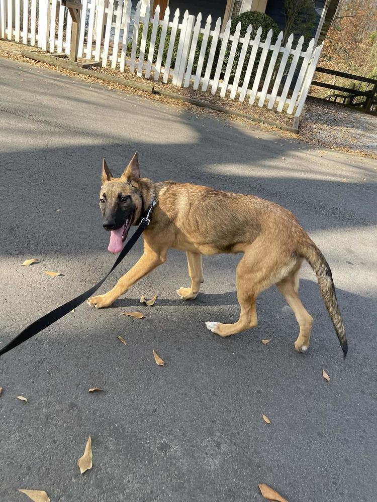 Paisley  Located In thumbnail 3